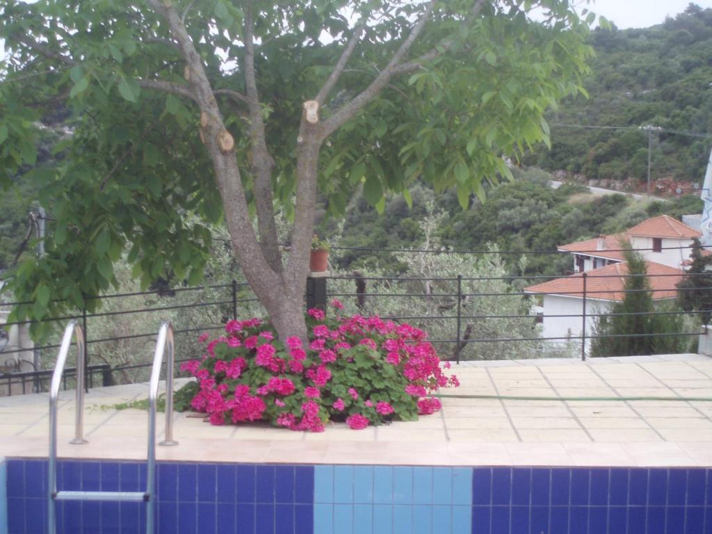 Pelagos Stafylos Habitación foto